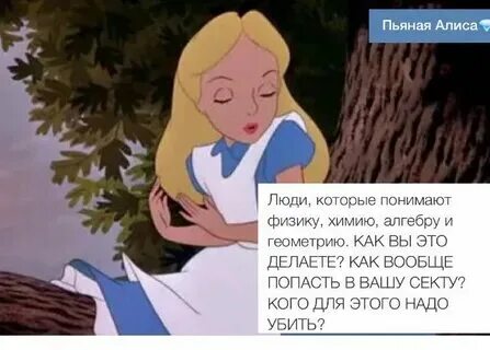 Алиса тебя когда то были