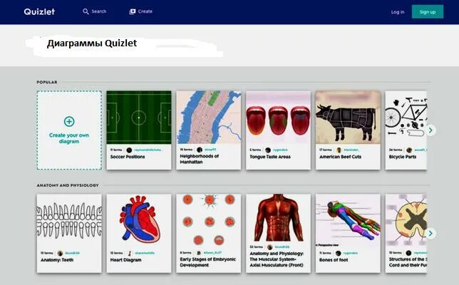 Точка ру биология. Quizlet карточки. Quizlet приложение. Квизлет карточки по биологии. Квизлет создать карточки.