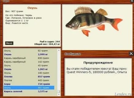 Мы удили на озере окуней