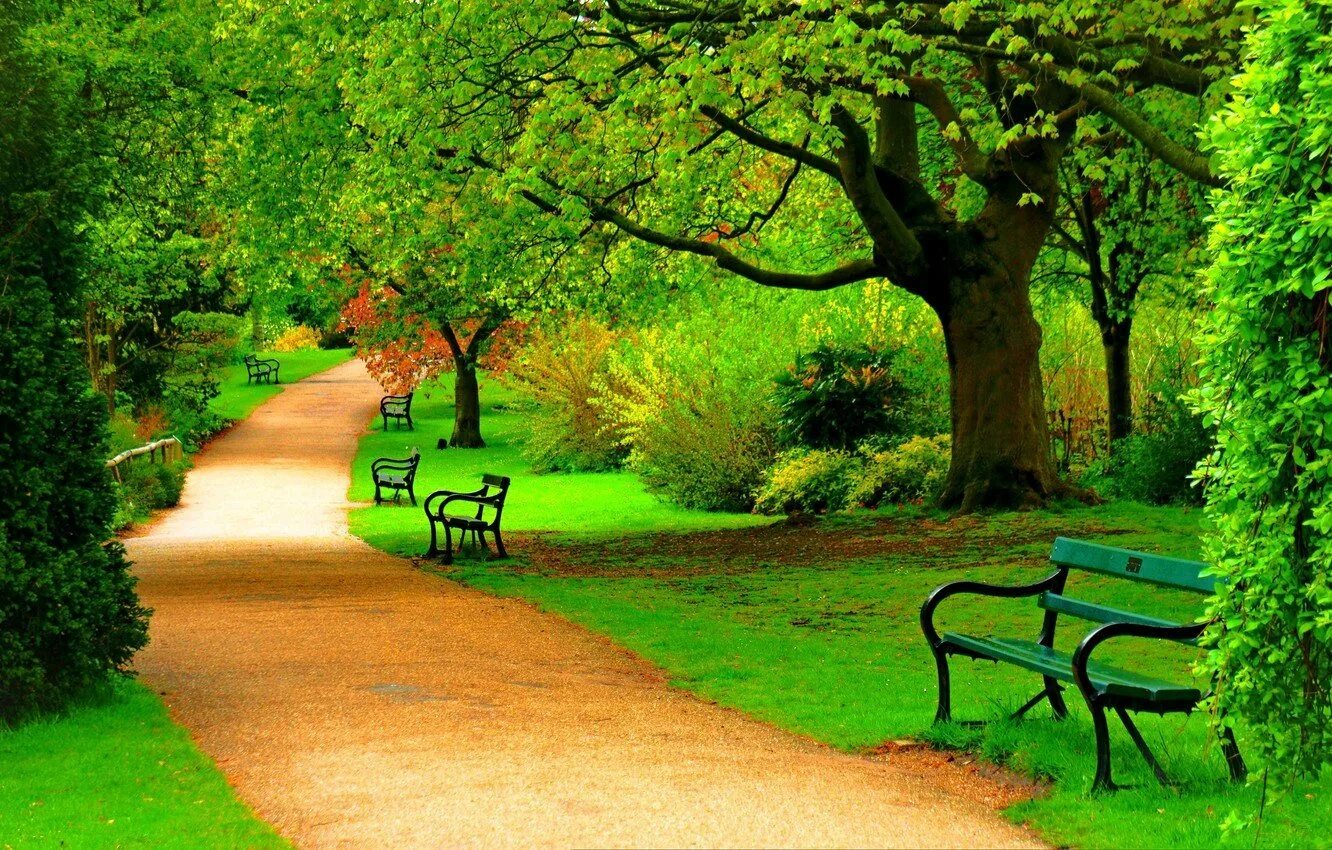Аллея Гарден Роуз. Грин Форест парк. Природа парк. Красивая аллея в парке.