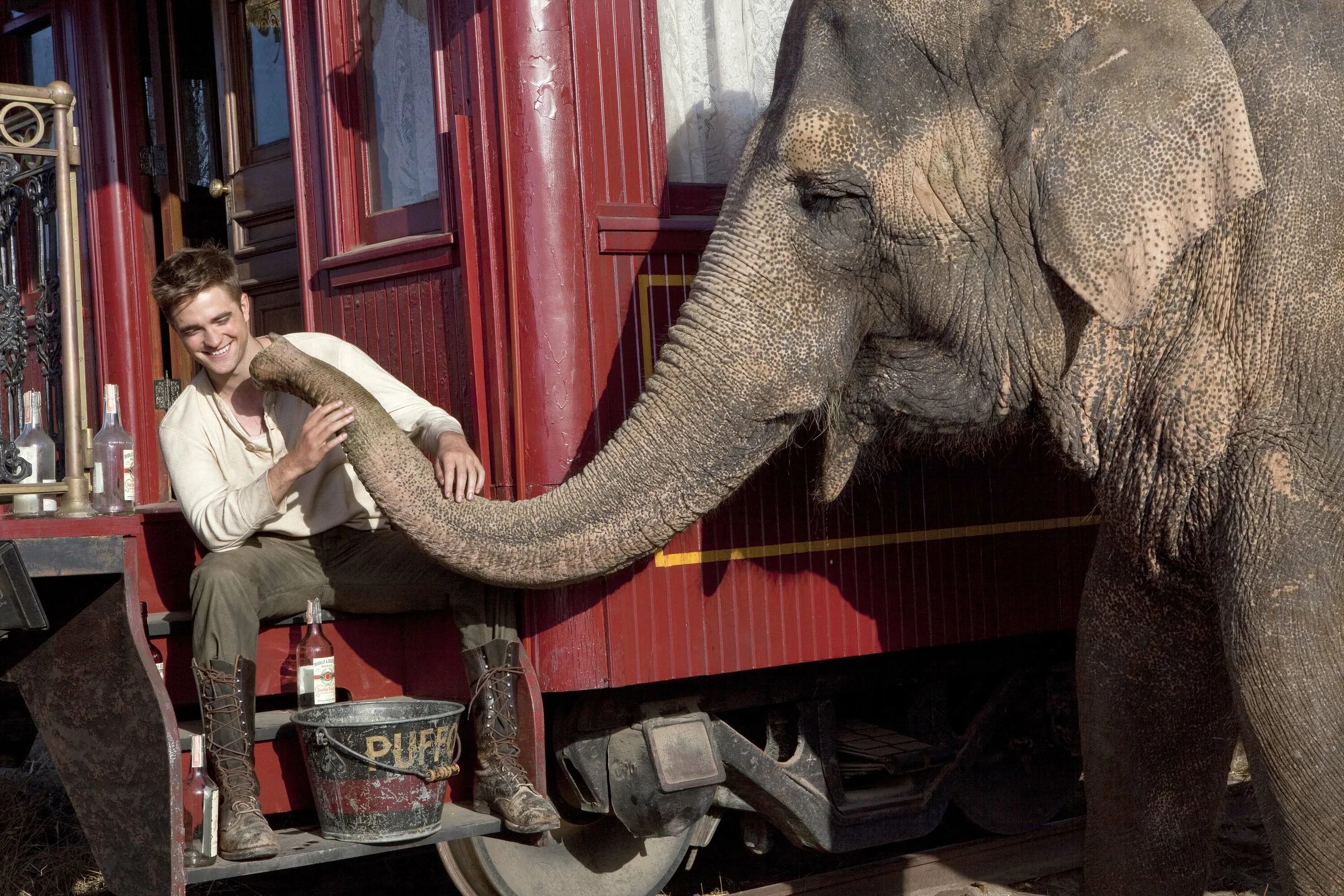 Воды слонам отзывы. Воды слонам! Water for Elephants, 2011.