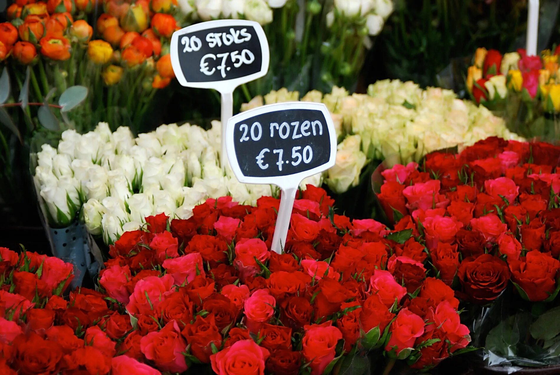 Сколько стоят розы в ростове. Цветочный рынок Амстердам. Bloemenmarkt в Амстердаме. Голландские рынки цветов. Рынок цветов в Амстердаме.