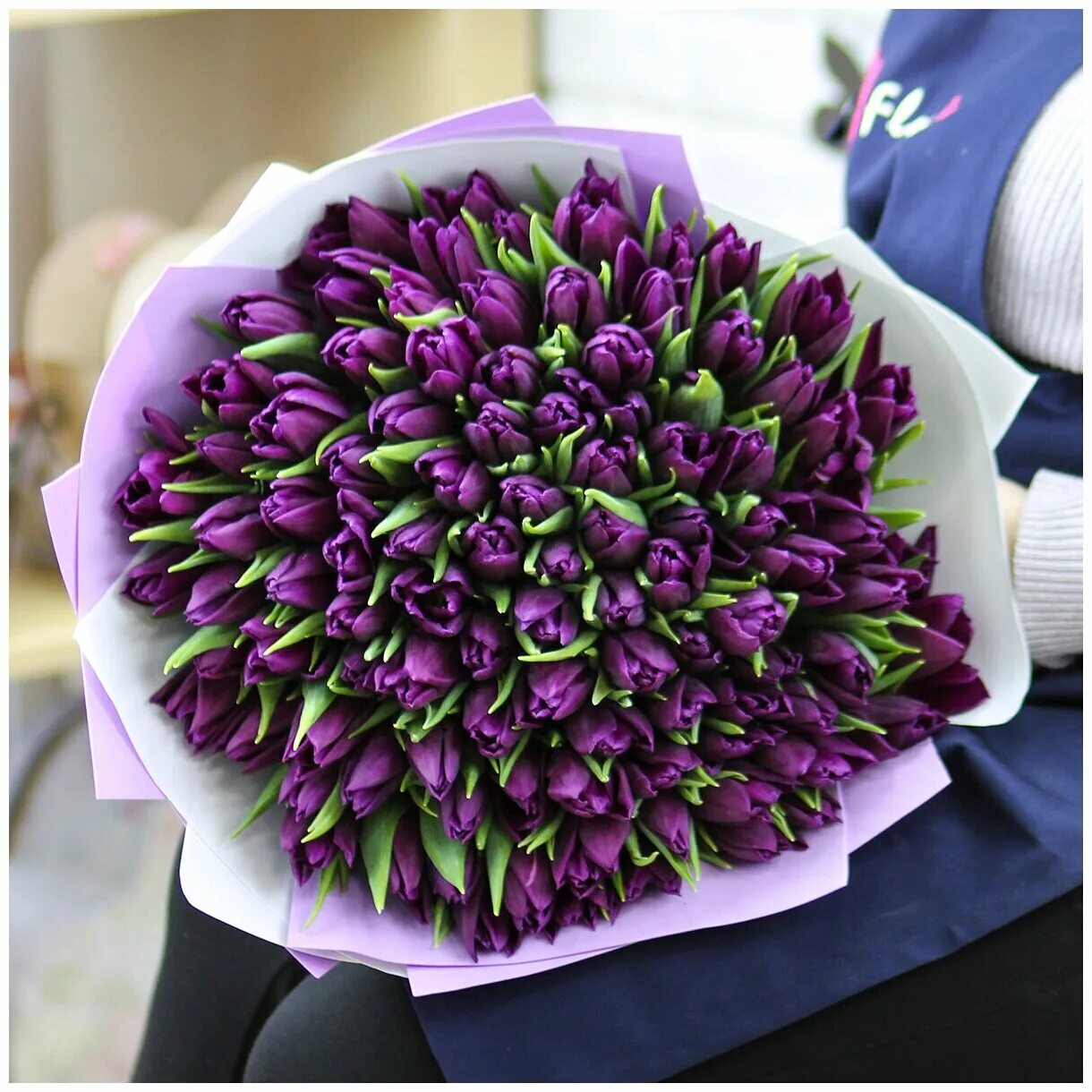 Фиолетовые тюльпаны купить. 101 Фиолетовый тюльпан. Тюльпан сиреневый Сандор. Тюльпан Purple Chic.
