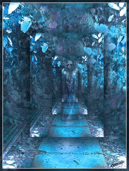 море ночь звезды.