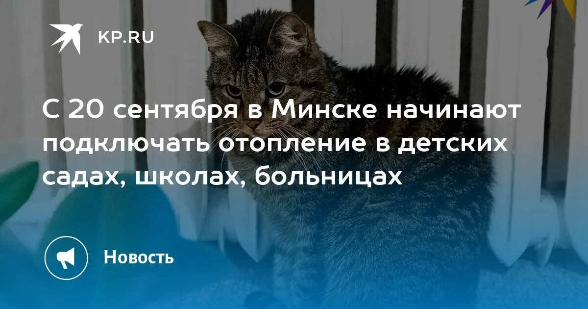 Отключение отопления минск 2024