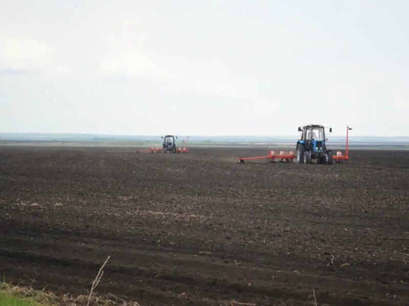 Погода село альшанка екатериновского района саратовской области. Село Альшанка Екатериновский район Саратовская область. Село Кипцы Екатериновский район Саратовская область. СХПК Екатериновский. Упоровка Екатериновский район.