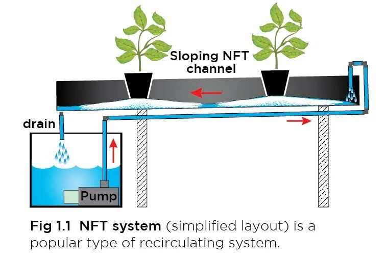 Ультразвуковая аэропоника схемы. Фитильная система гидропоника схема. NFT System Hydroponic. NFT гидропоника. Nft как работает