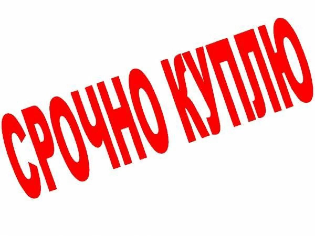 Куплю. Продажи картинки. Куплю надпись. Куплю картинка. Срочно куплю квартиру объявление