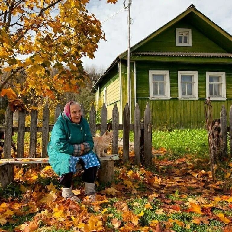 Сейчас главное не красивый дом и ухоженный. Бабушка в деревне. Осень в деревне. Дом в деревне. Бабушкина деревня.