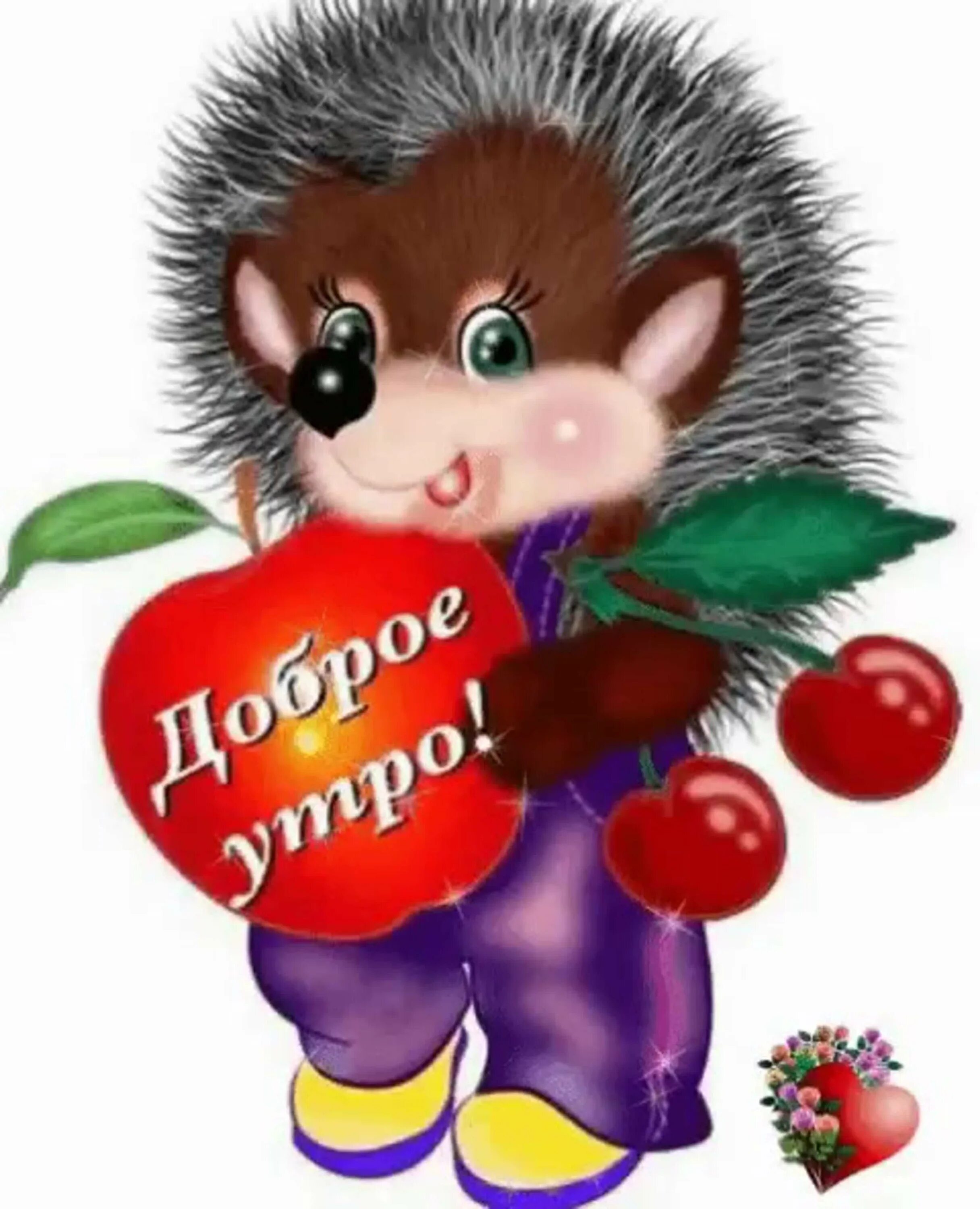 Добрый ежик картинки. Привет от ежика. доброе утро от ежика. привет с ежиком. с добрым утром от ёжика.