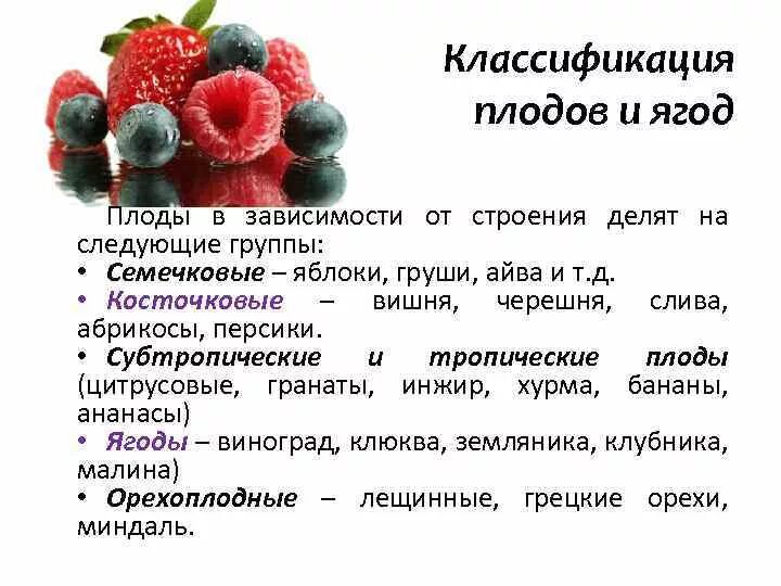 Входят в состав фруктов. Классификация фруктов и ягод. Классификация ягодных культур. Классификация плодовых и ягодных культур. Классификация свежих плодов и ягод.