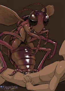 Slideshow insect xxx.