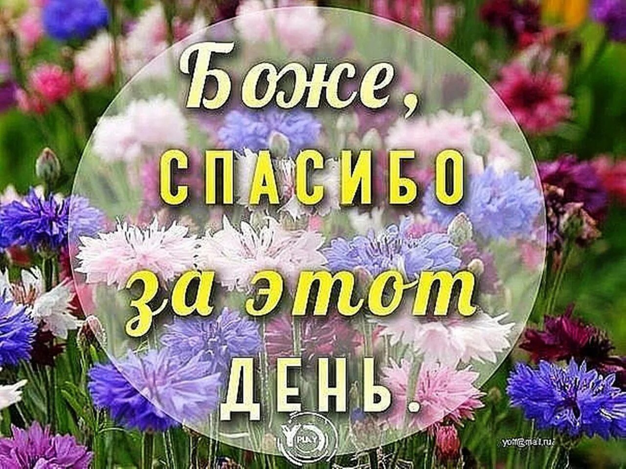 Благодарю господа за новый день. Благодарности на каждый день. Благодарность богу. Спасибо богу. Благодарность богу за прожитый день.