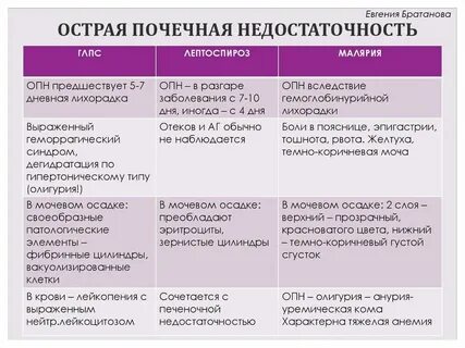 Типы почечной недостаточности