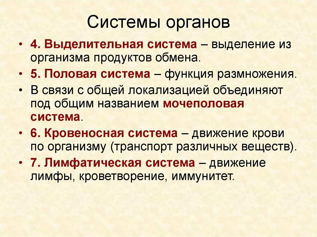 Какие системы органов выполняют выделительную функцию. Система органов размножения функции. Функции выделительной системы. Выделительная система органы и функции. Выделительная система ф.