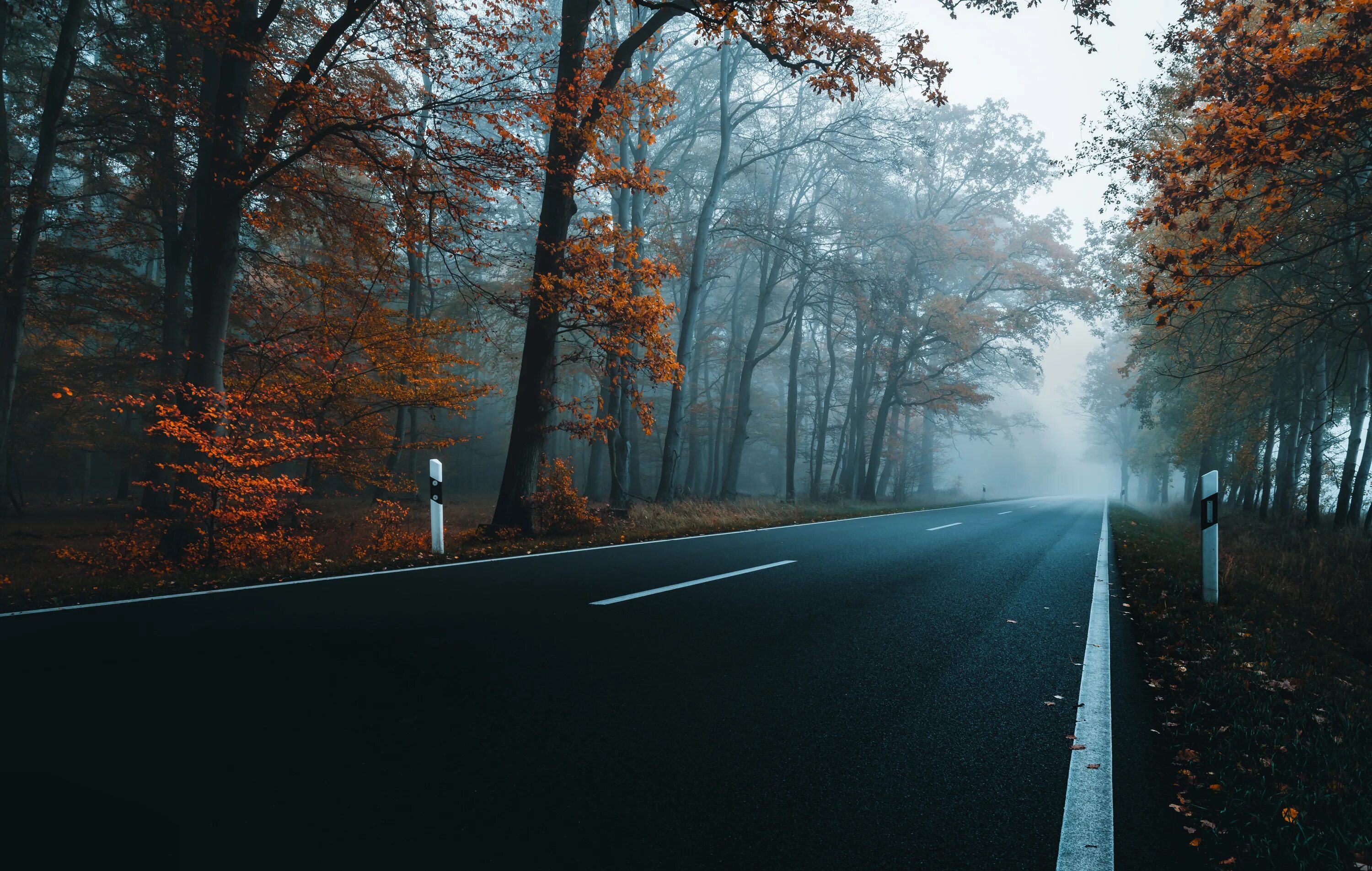 The trees fall across the road. Осенняя дорога. Обои осень шоссе. Шоссе с деревьями. Дорога с деревьями по обеим сторонам.