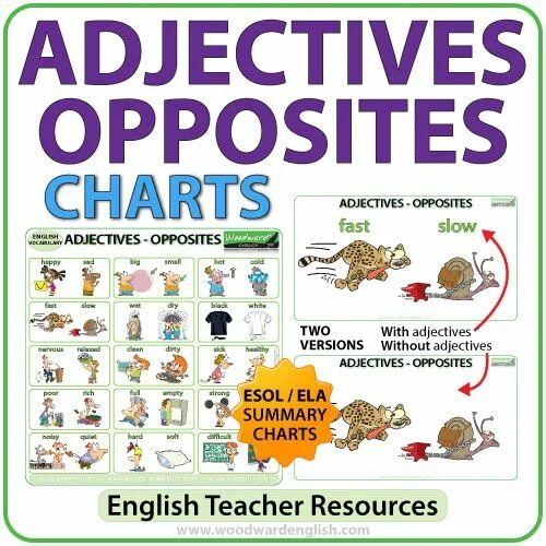 Adjectives Chart. Articles in English Woodward. Fast Slow opposite adjective. Questions with WH Grammar Chart woordward English. Slow adjective