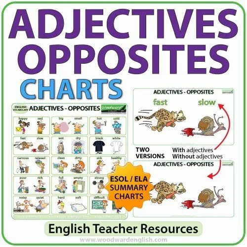 Slow adjective. Adjectives Chart. Articles in English Woodward. Fast Slow opposite adjective. Questions with WH Grammar Chart woordward English.