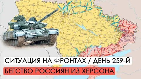 259 дней