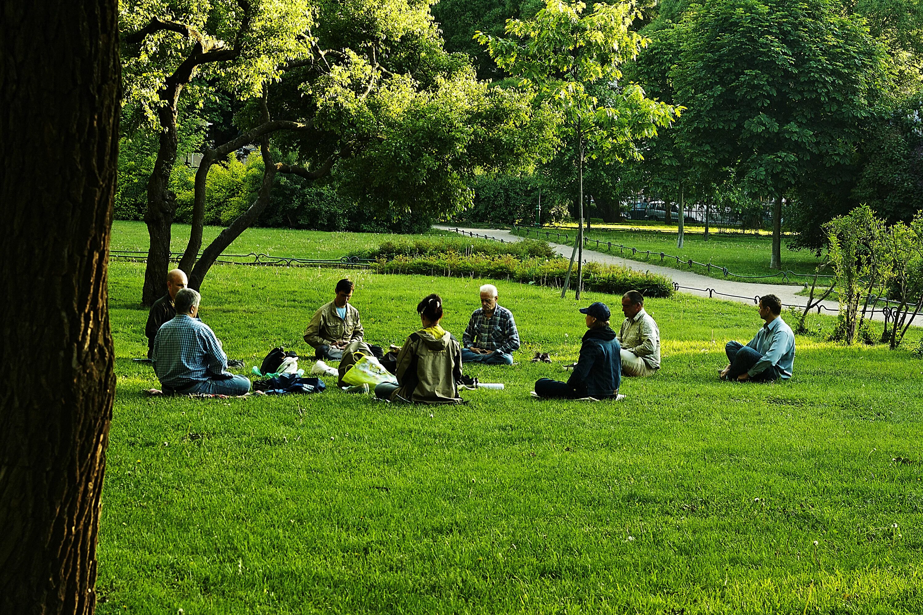 Lot of people in the park. Парк с людьми. Групповая медитация. Медитация в парке. Медитация фото.