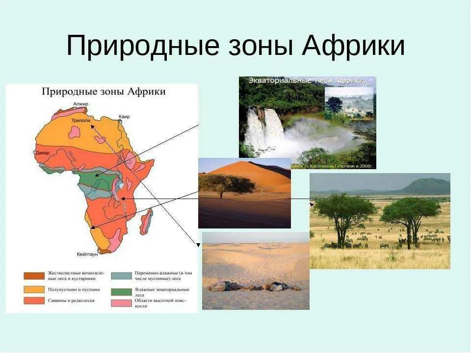 Природная зона занимающая 40 материка. Природная зона тропического пояса Африки. Климат и природные зоны Африки 7 класс география. Африка климат природные зоны карта. Природные зоны Африки 7 класс.