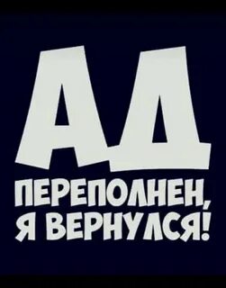 Белая вернулась