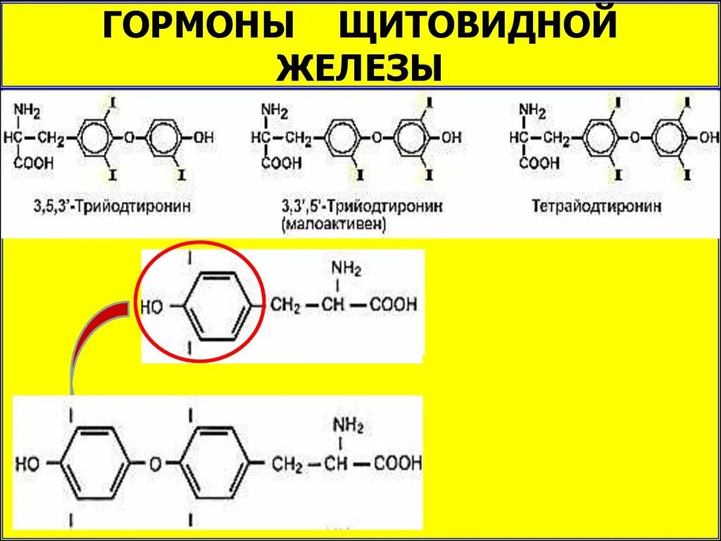 Гормон т4 формула. Химическая природа гормонов щитовидной железы (т3 и т4). Формулы тиреоидных гормонов. Гормоны щитовидной железы трийодтиронин.