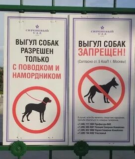 Какой штраф если собака без намордника