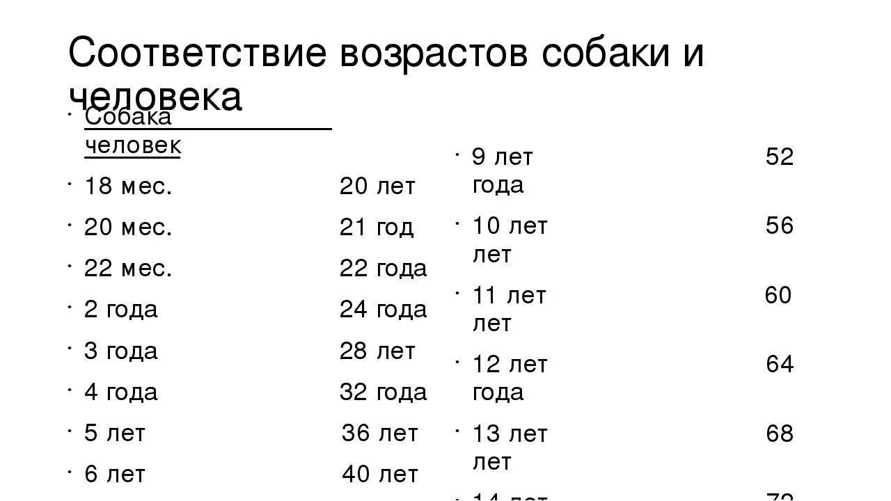 13 собачьих лет в человеческих. Собачий Возраст по человеческим меркам таблица. Собачий Возраст на человеческий таблица. Возрастная таблица собак по отношению к человеческому возрасту. Таблица возраста собак мелких пород.