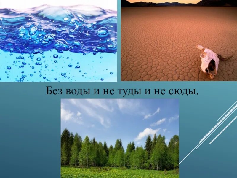 Без воды и ни туды и ни сюды. Картинки без воды и ни туды и ни сюды. Воды туды сюды. Без воды ни туды.