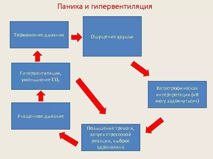 Паническая атака схема. Когнитивная модель панического расстройства. Когнитивно паническая терапия. Паническая атака и гипервентиляция. Гипервентиляция дыхание.