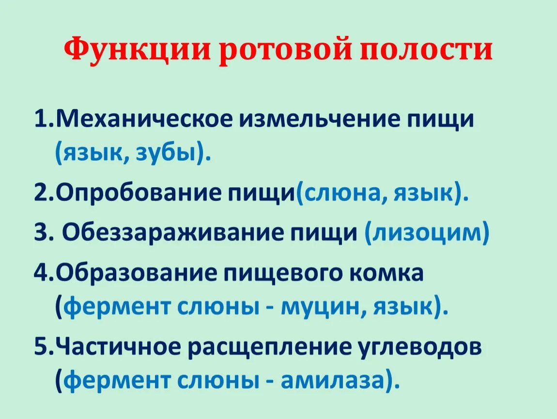 Какие функции ротовой полости. Функции ротовой полости. Хункцые ротовой полости. Функции ротовой полости человека. Генераторная функция ротовой полости.