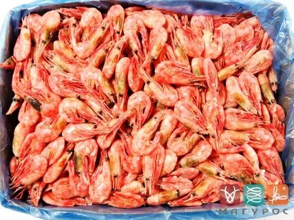 Сухая заморозка