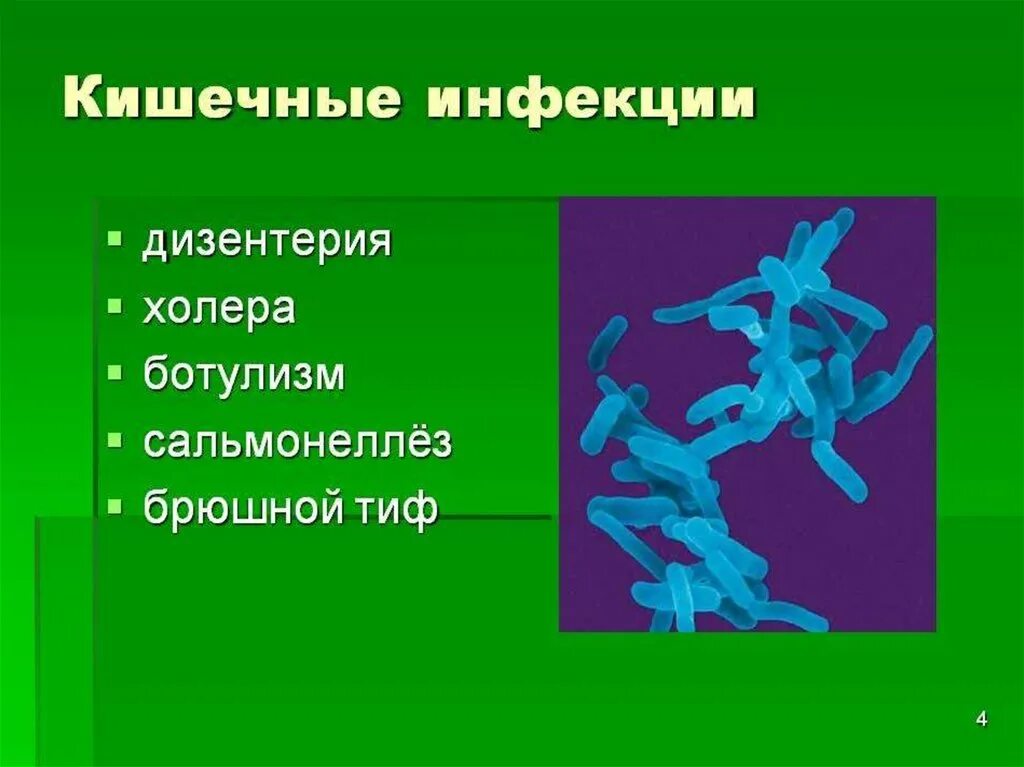 Кишечные заблеванияпрезентация. Кишечные инфекции презентация. Холера сальмонеллез дизентерия. Дизентерия вирусное заболевание