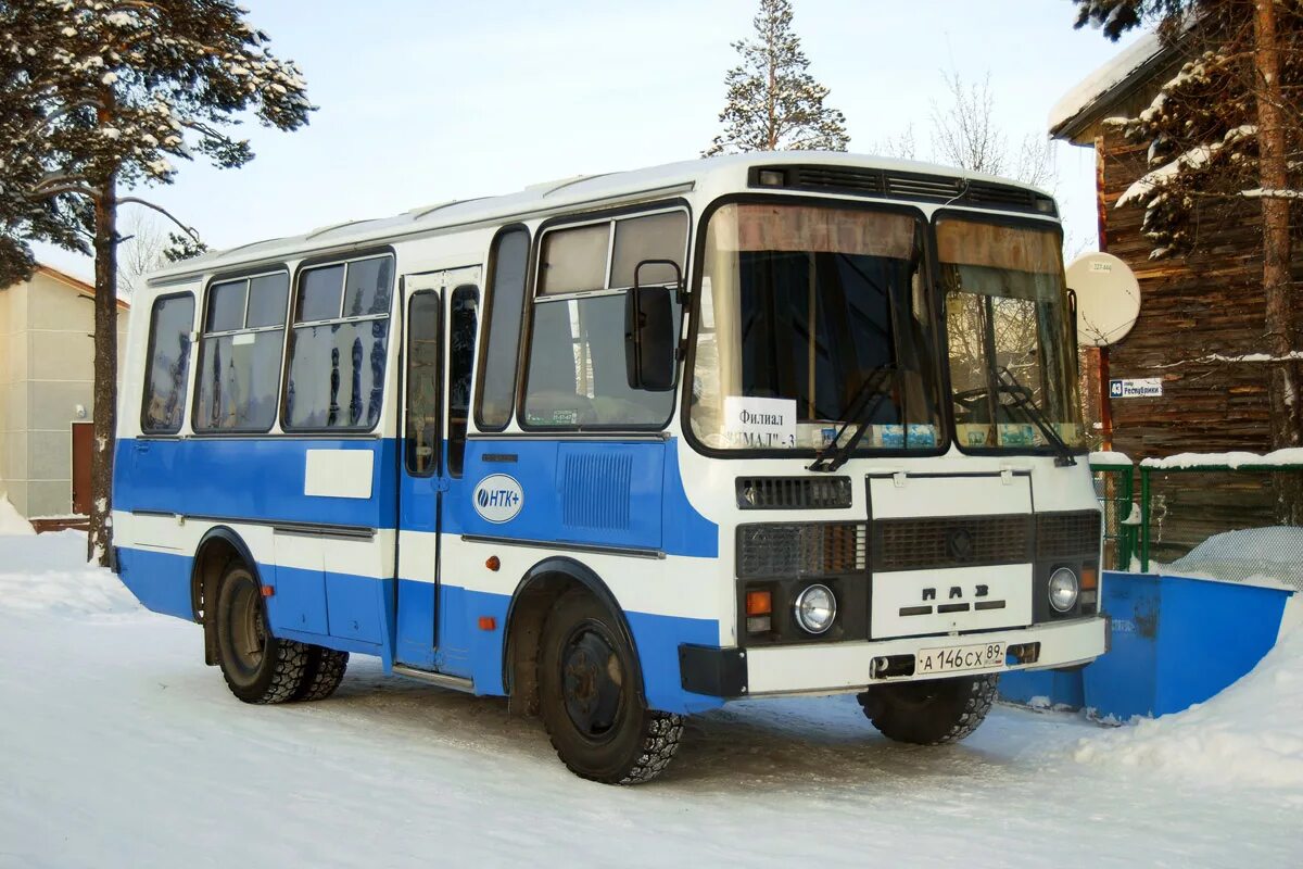 3205 00. ПАЗ 3205 00. ПАЗ 3205 fotobus. ПАЗ 3205 1989 года. Шасси ПАЗ 3205.