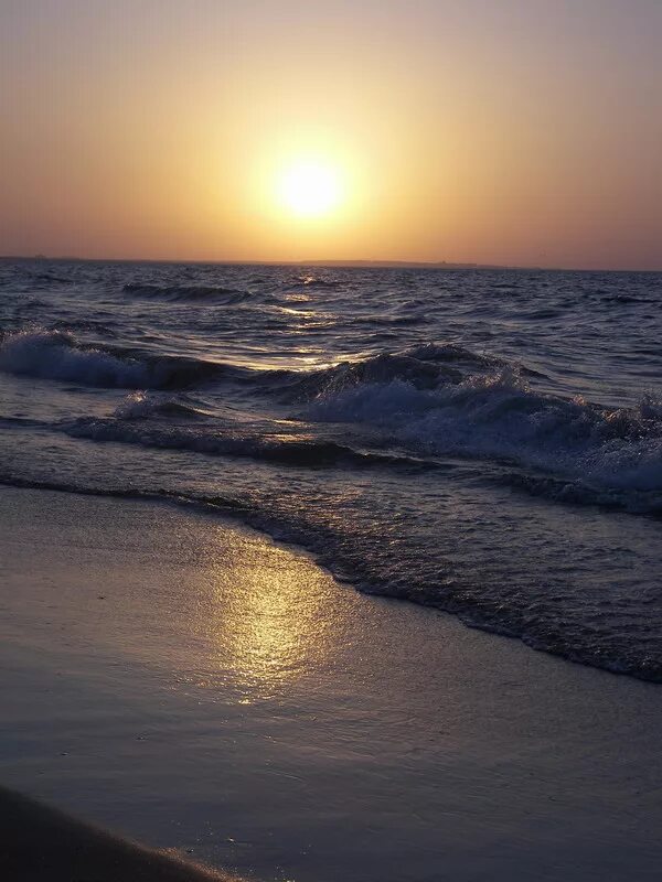 холодное солнца холодное. аргунат холодное солнце. ветреный холодное солнце. холодная солнце. ергуна холодное солнце.