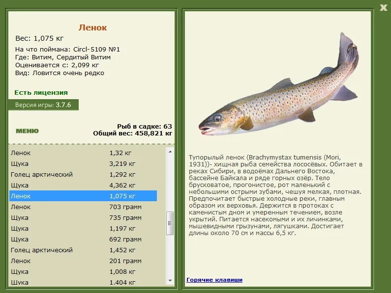 ловлю рыбу по английски. рыбы картинки для детей с названиями. какая рыба водится в реке ангара. ловлю рыбу по английски. рыба на англ яз.