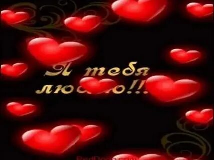 Люблю тебя одного люблю невыносимо любимый