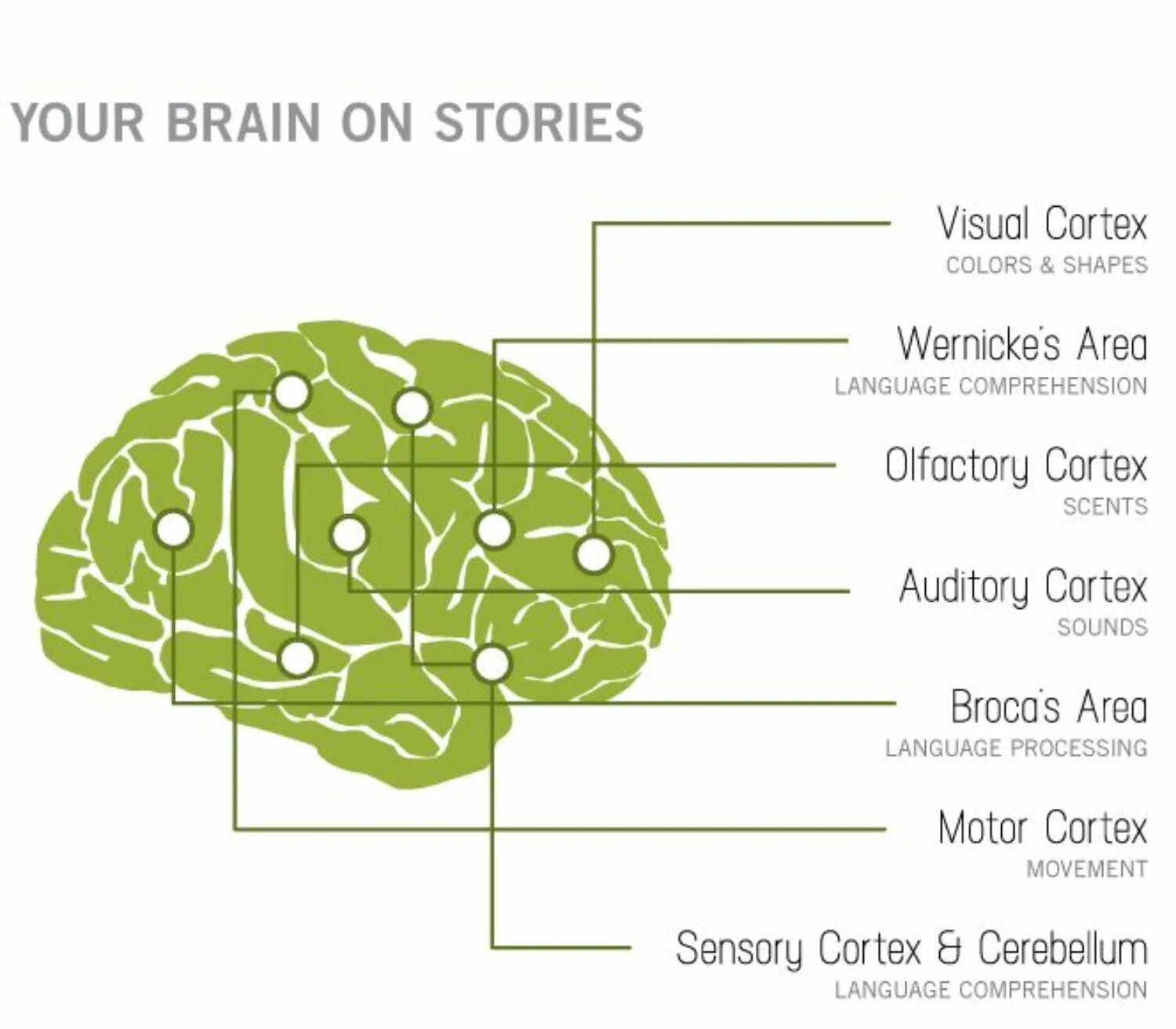 Brain languages. Brain story. Brain story 49 у. Мозг сторителлинг книга. Tricky Brain story.