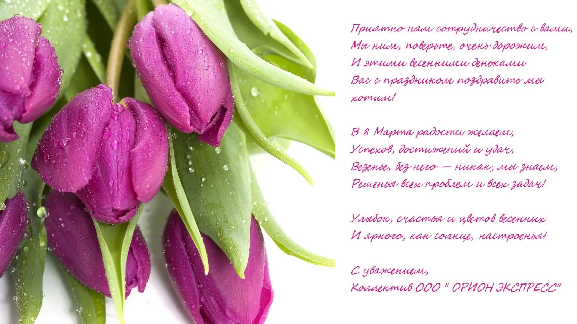 поздравляем прекрасную половину. цветы в подарок. букет тюльпанов на прозрачном фоне. тюльпаны открытка. с международным женским днем.