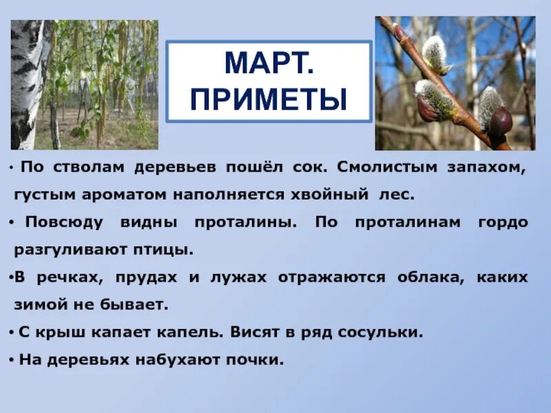 Март 42 года. Приметы в марте. Приметы весенних месяцев. Народные приметы март.