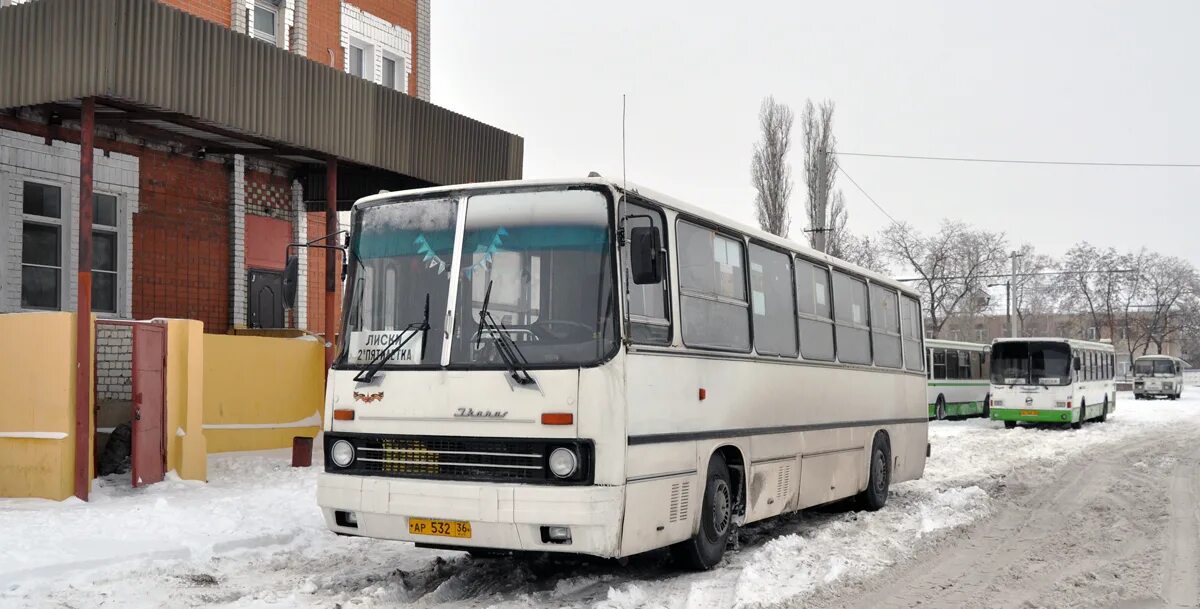 Автобус лиски 2 пятилетка. Автостанция Лиски. Лиски 2 пятилетка. Автобусы Лиски 2я пятилетка.