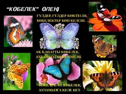 Лесбиянкалар бөтен заттарды кискаларына жабыстырады