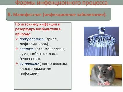 Резервуаром возбудителя являются