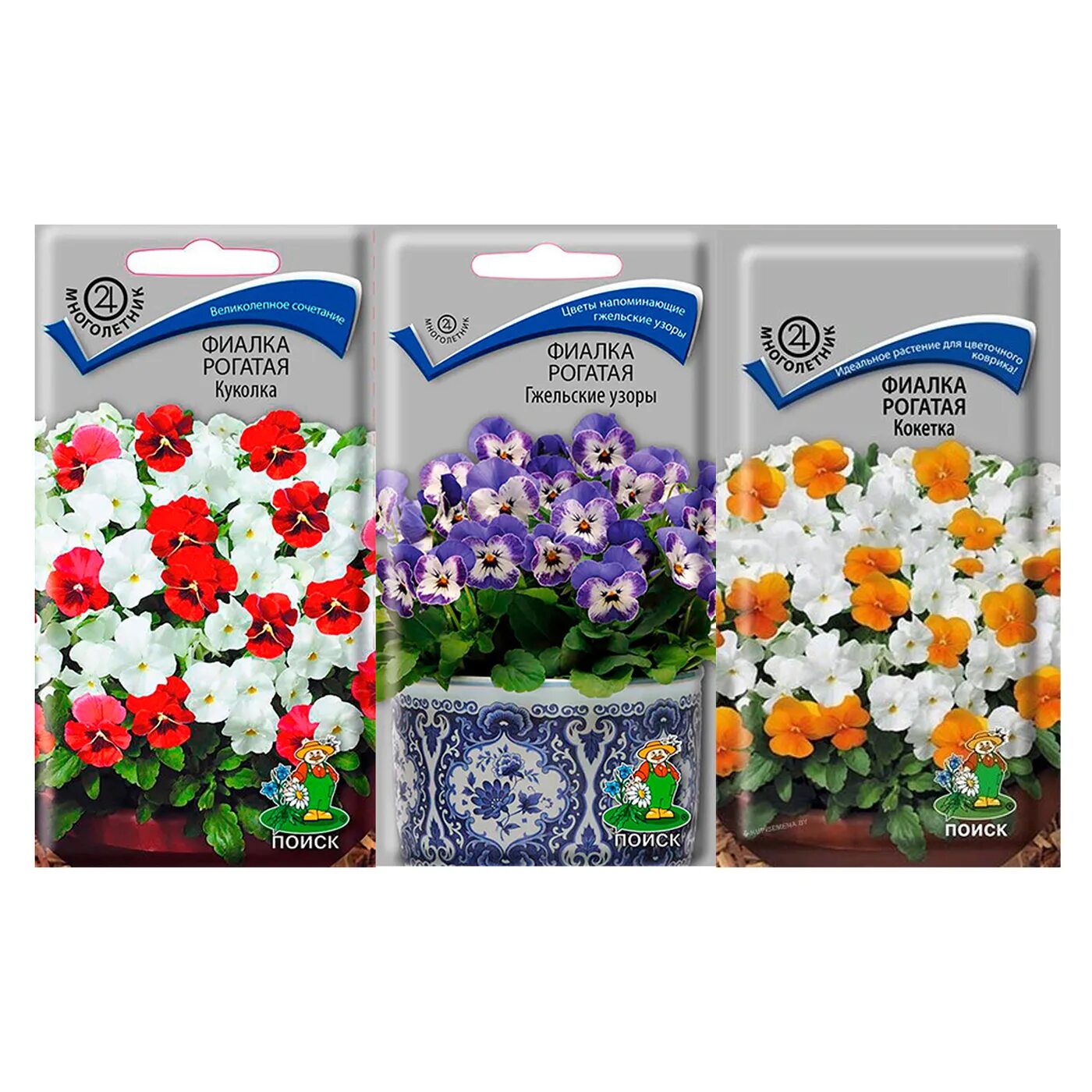 фиалка рогатая ребекка кавторн. виола многолетняя (фиалка рогатая). фиалка рогатая эдмаер макси. виола многолетняя (фиалка рогатая). цветы виола рогатая эрлин.