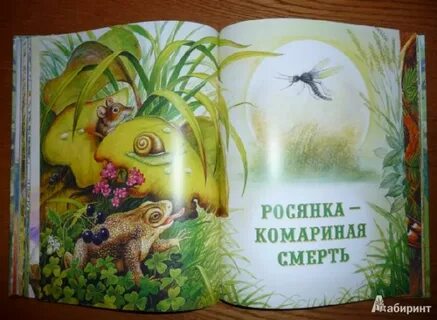 Бианки пришвин