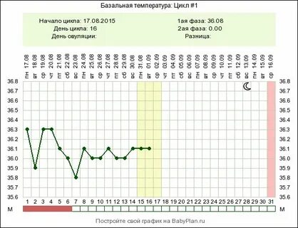 Как измерить базальную