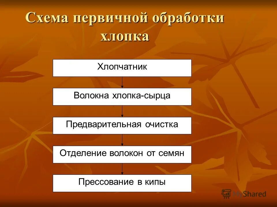 Обработка хлопка. Схема первичной обработки хлопка. Производство хлопка схема. Процесс обработки хлопка. Первичная обработка хлопка.