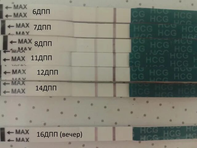 8 дпп тест отрицательный. ХГЧ И тесты ДПП. ХГЧ пятидневок. Тесты после подсадки эмбрионов. Тест на беременность после эко.
