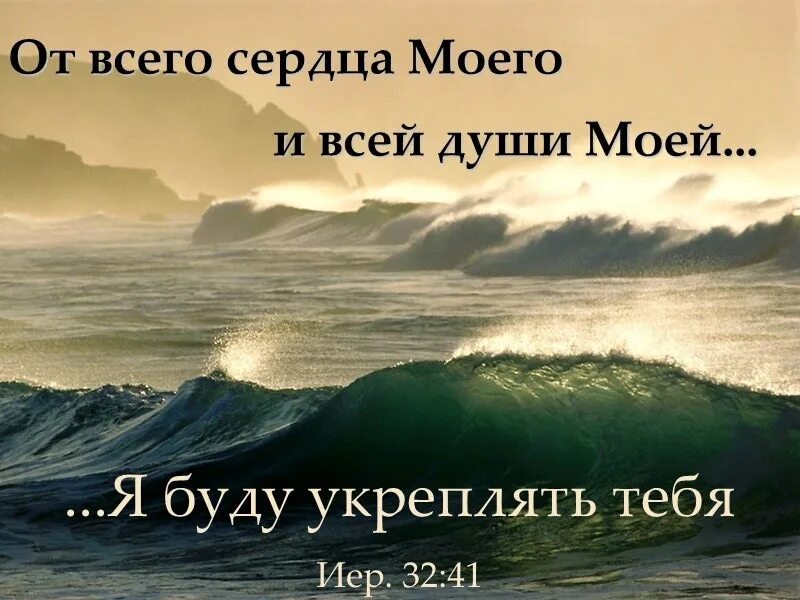 Не бойся я с тобой Господь. Открытка будь тверд и мужествен. Не бойся ибо я с тобой. Не бойся и не ужасайся ибо я Бог твой.